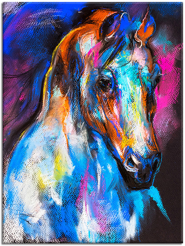 tableau sur toile, animaux, art, blanc, bleu, chevaux, dessin, multicolore, nature-morte-autres-peintures, orange, peintures, rose, violet