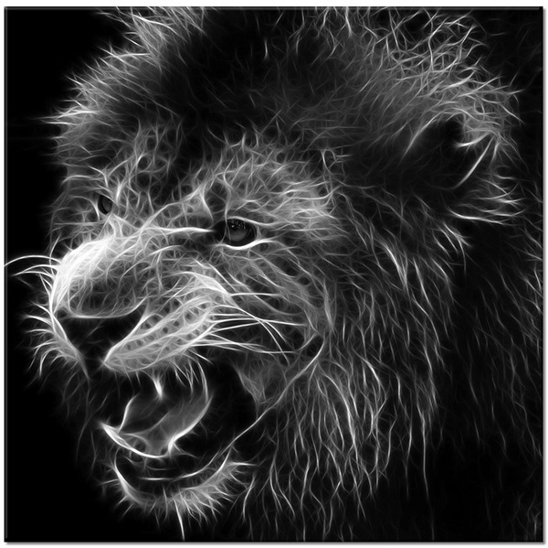 tableau sur toile, abstrait-fantaisie, animaux, animaux-sauvages, blanc, bleu, dessin, lions, noir, vert, violet