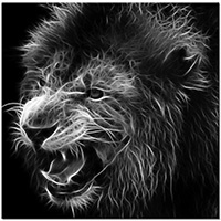 Version: noir-et-blanc