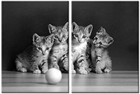 Tableau  2 panneaux