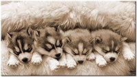 Version: sepia