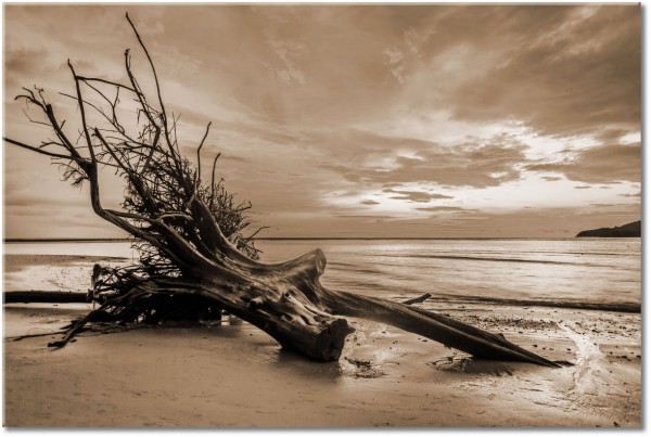 tableau sur toile, beige, ciel, coucher-soleil, jaune, marron, mer, mer-cascades-lacs, nuages, orange, paysages, plage, sepia