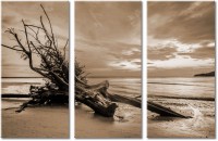 Tableau  3 panneaux