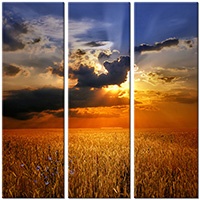 Tableau  3 panneaux