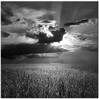 Version: noir-et-blanc