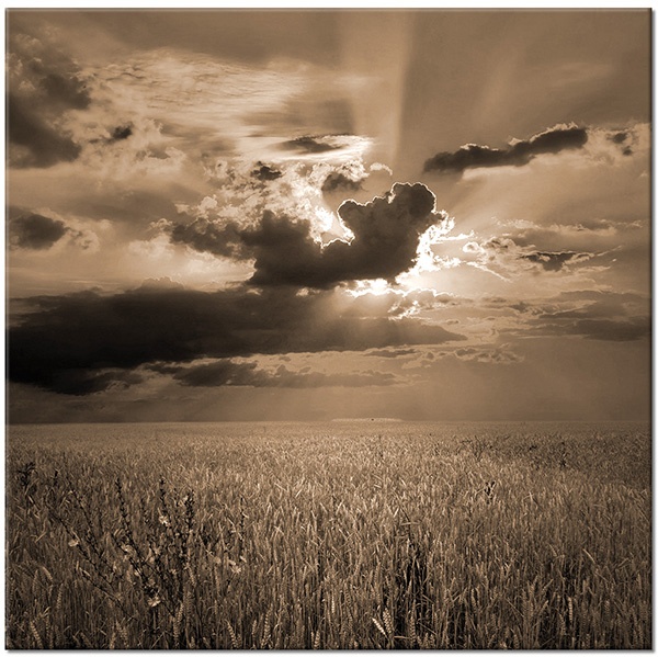 tableau sur toile, autres-paysages, ble, bleu, champs, ciel, gris, jaune, marron, nuages, orange, paysages, soleil, violet