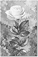 Version: noir-et-blanc