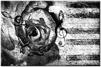 Version: noir-et-blanc