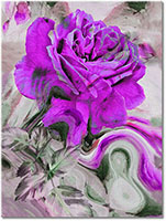 Version: violet
