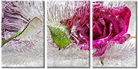 Tableau  3 panneaux