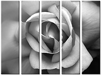Tableau  5 panneaux