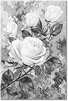 Version: noir-et-blanc