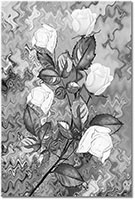 Version: noir-et-blanc