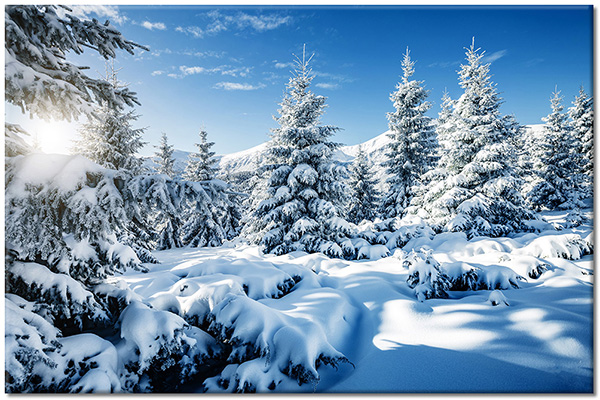 tableau sur toile, arbres, blanc, bleu, ciel, forets, forets, hiver, neige, paysages, sapins, soleil, vert