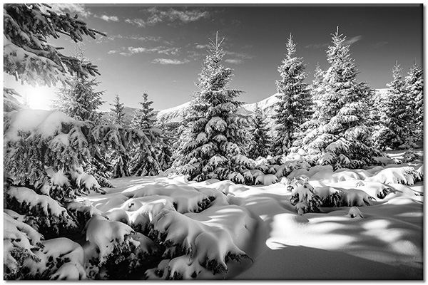 tableau sur toile, arbres, blanc, bleu, ciel, forets, forets, hiver, neige, paysages, sapins, soleil, vert