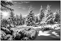 Version: noir-et-blanc