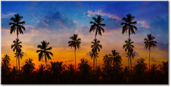 tableau sur toile, autres-paysages, bleu, ciel, coucher-soleil, gris, noir, nuages, orange, palmiers, paysages, silhouettes