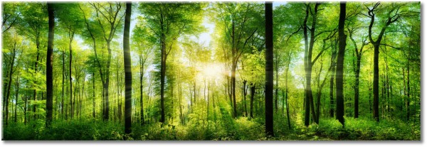 tableau sur toile, forets, jaune, marron, noir, paysages, vert