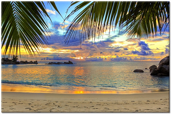 tableau sur toile, arbres, beige, bleu, ciel, coucher-soleil, jaune, lever-du-soleil, marron, mer, mer-cascades-lacs, nuages, orange, palmiers, paysages, plage, sable, soleil, tourisme, vert, violet