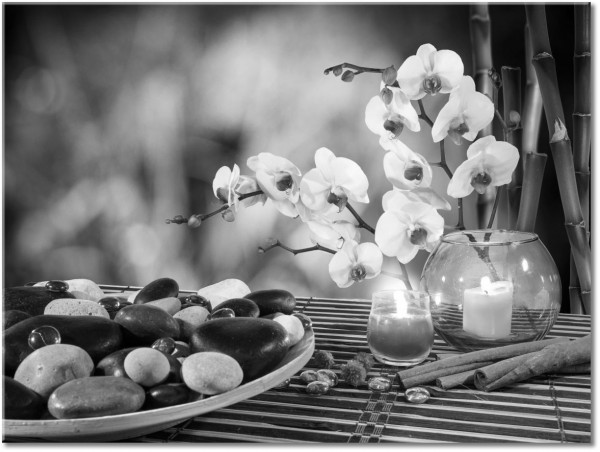 tableau sur toile, blanc, feng-shui-zen, fleurs, gris, jaune, noir, orange, rose, rouge, vert, violet