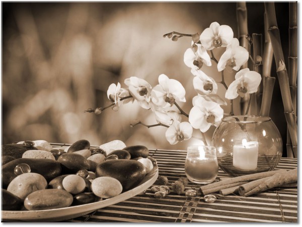 tableau sur toile, blanc, feng-shui-zen, fleurs, gris, jaune, noir, orange, rose, rouge, vert, violet