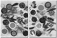 Tableau  2 panneaux