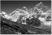 Version: noir-et-blanc