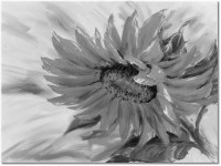 Version: noir-et-blanc