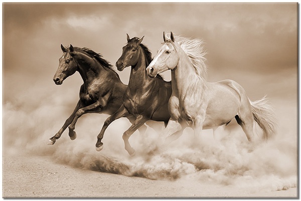 tableau sur toile, animaux, beige, bleu, chevaux, marron, noir, sable
