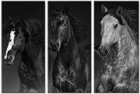 Tableau  3 panneaux