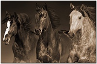Version: sepia