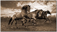 Version: sepia