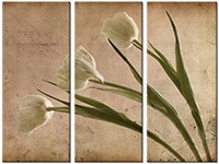 Tableau  3 panneaux