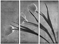 Tableau  3 panneaux