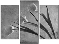 Tableau  3 panneaux