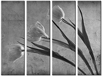 Tableau  4 panneaux