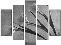Tableau  5 panneaux