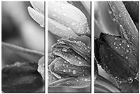 Tableau  3 panneaux