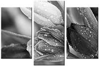 Tableau  3 panneaux