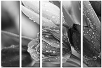 Tableau  5 panneaux