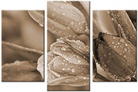 Tableau  3 panneaux