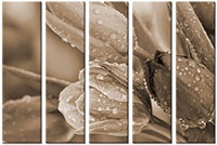 Tableau  5 panneaux