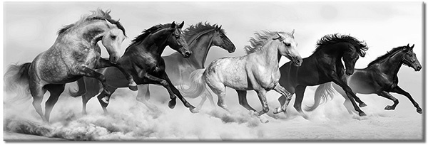 tableau sur toile, animaux, beige, blanc, chevaux, gris, marron, noir, orange