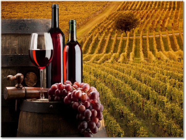 tableau sur toile, aliments, aliments-boissons, bars, beige, boissons, champs, divers, fruits, marron, noir, orange, raisins, restaurants, rouge, vert, vin, violet