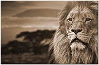Version: sepia