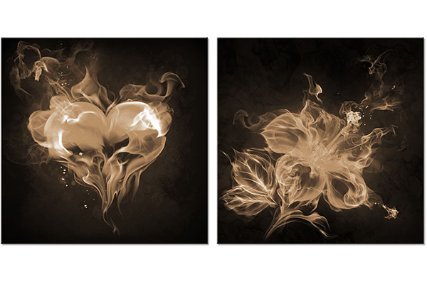 ensemble de 2 tableaux sur toile: Cœur et Fleur de Feu