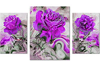 Version: violet